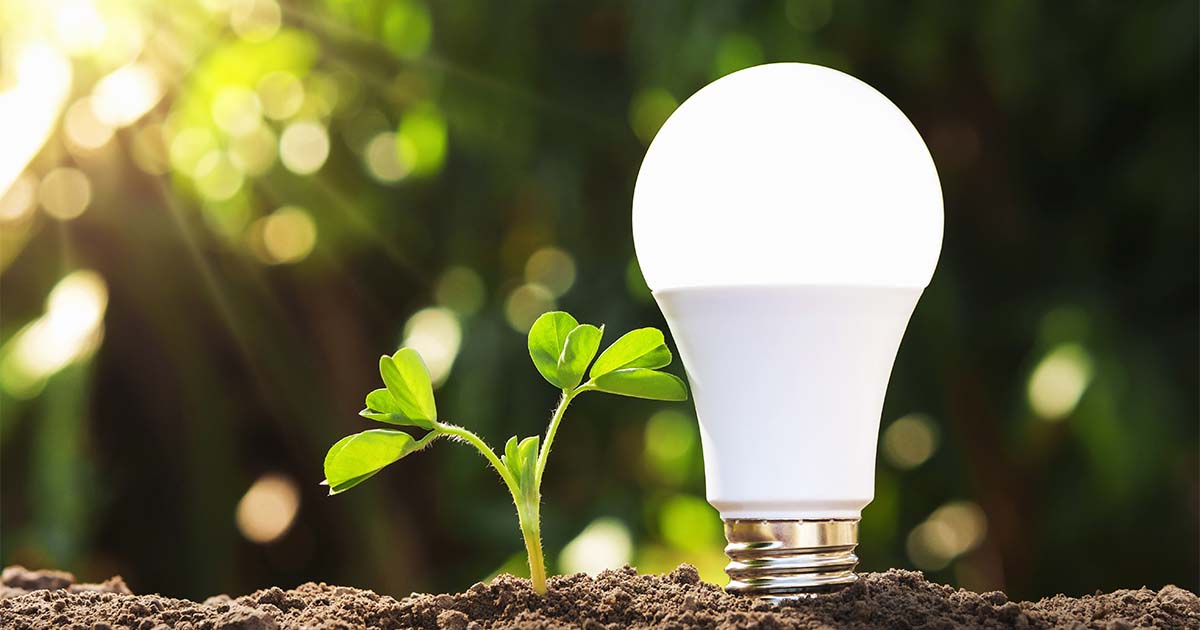 energy efficient lightbulbs in your home?