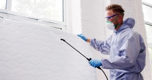 What Insurance Do Winnipeg Pest Control Companies Need?