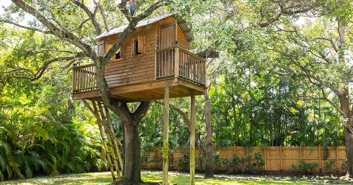 Have Fun with the Kids and Build a Treehouse