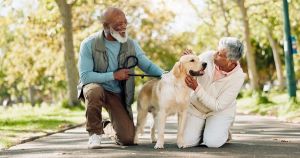 Should My Pet and Dog Walker Have Insurance?