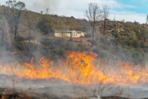 Does House and Cottage Insurance Cover Wildfires?